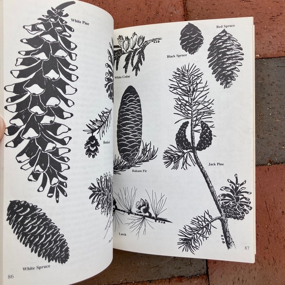 2 Acadia National Park Guides Downeast Carriage Road Maine Nature Outdoor - Picture 3 of 17